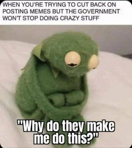 Screenshot_20240726_075921_Telegram