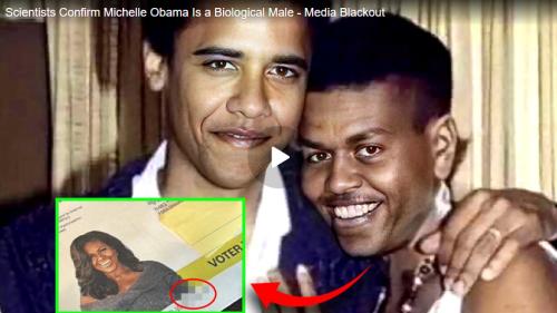 Michelle Obama is a male screenshot