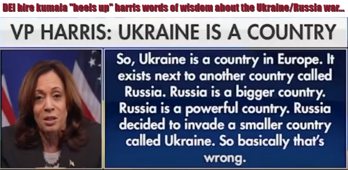 kamala harris is an actual retard