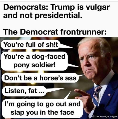biden dog faced pony boy