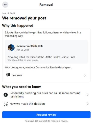 facebook hates dogs 6-18-24