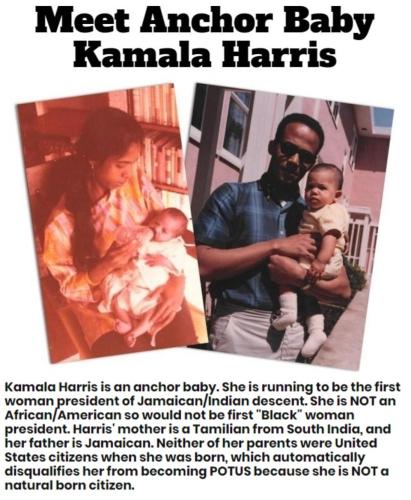 Meet anchor baby Kamala Harris