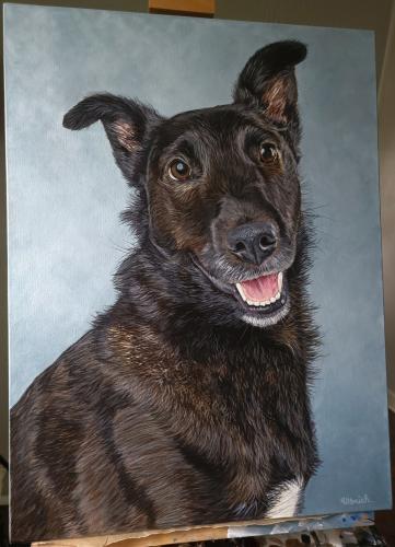 Screenshot_20240515_074904_Gallery