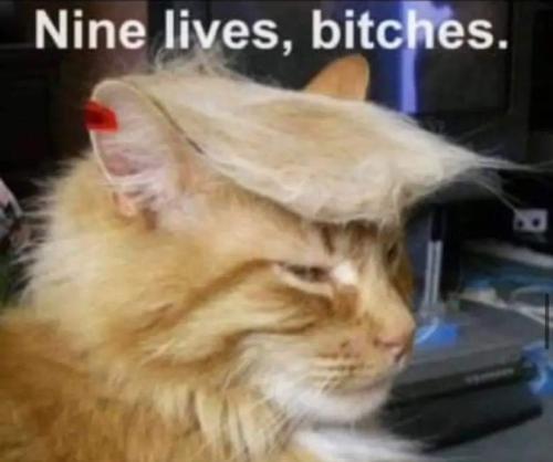 5172c2c5-0d84-44a7-a720-330eb5f9eb3f