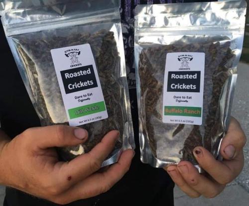 roastedcrickets