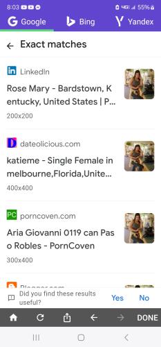 Screenshot_20240715_200342_Image Search