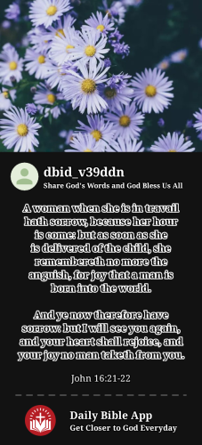 2024-07-101720669820766