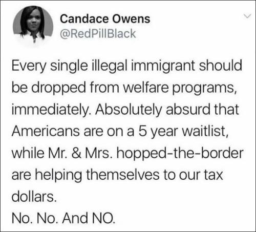 candace owens71