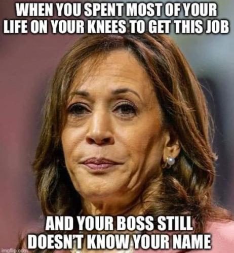 449309198_1231683381337015_681459032735830123_n