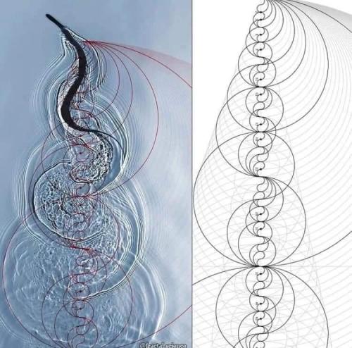 177af12d-6280-477b-8a91-cd0c00bcabfe