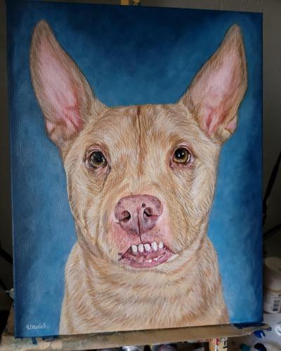 IMG_20240303_112602_820