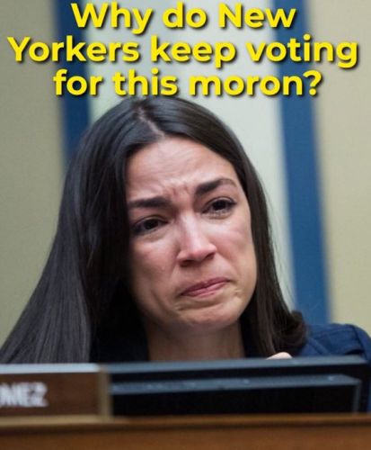 image_2024-07-13_091144600