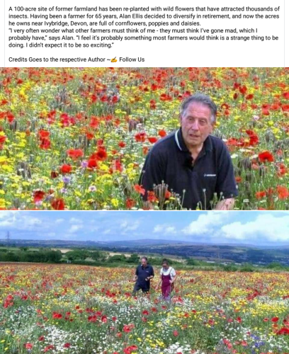 Screenshot_2024-07-18-00-59-51_kindlephoto-48291438