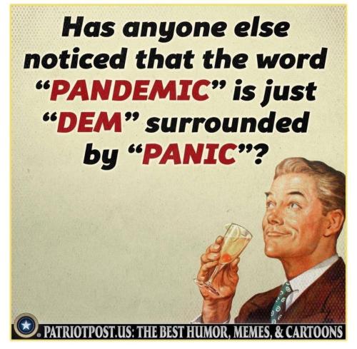 IMG_20240723_180913_931