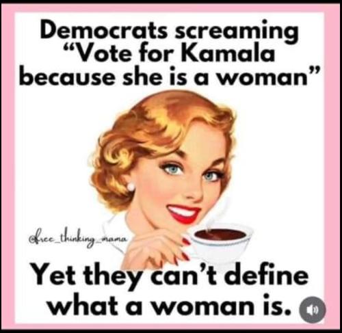 e2331165-a055-4254-b1ef-93dd1d865a6f