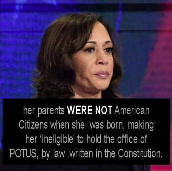 kamala harris995