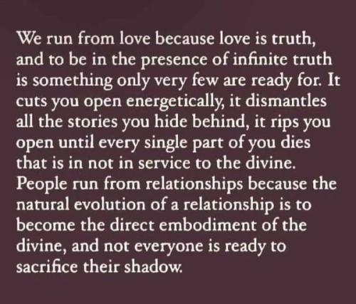 . 386084578_68954933638