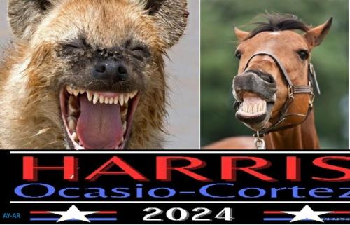 image_7D259C49-781E-4DC0-AA60-05C5CEAF81BB