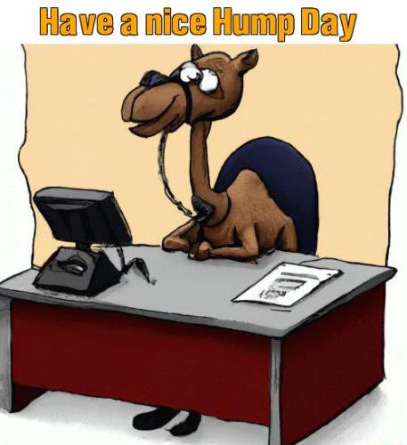 1-Hump Day