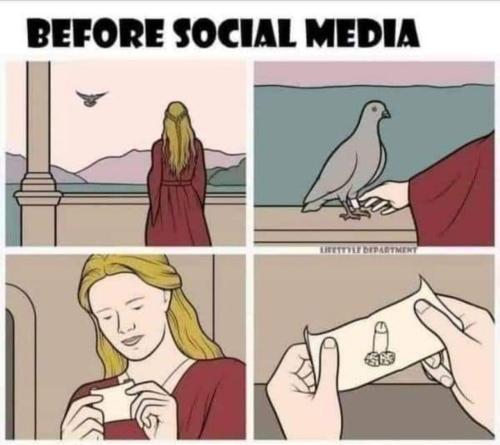 image_741D13AE-0D15-40DE-861B-6E29560F3DA2