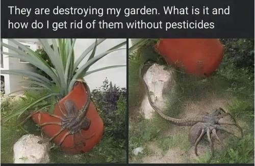 image_EB8EB743-ED96-422B-A8E8-784E4D82EF14