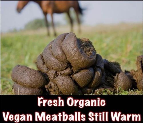 449519714_10169137605785313_5679354860338847454_n