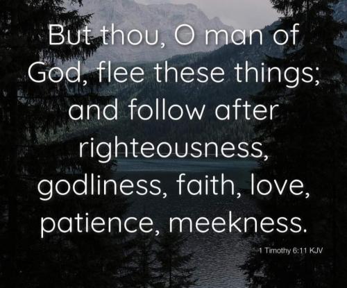 b7281b02-6424-4849-b918-04e30c34d79e