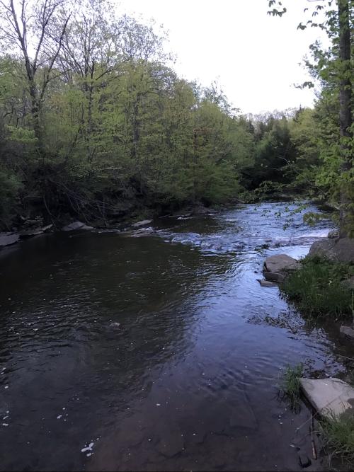 725F80E7-DA11-4429-A371-7F6A6DB21A81