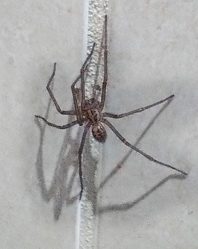 IMG_20240717_015412663