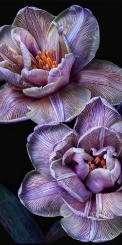img-e1f059c6