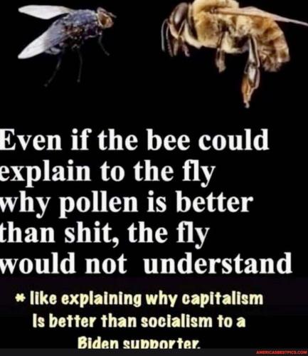 f4efc42ae400510cc72d6cf0178e8686d192248e4c3ff957b3b4de24438d6312_1