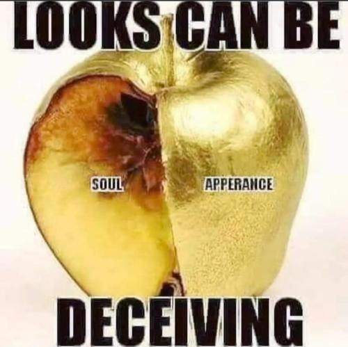 cda2ce6e-50c9-4f59-b3fc-5e707b303c3f