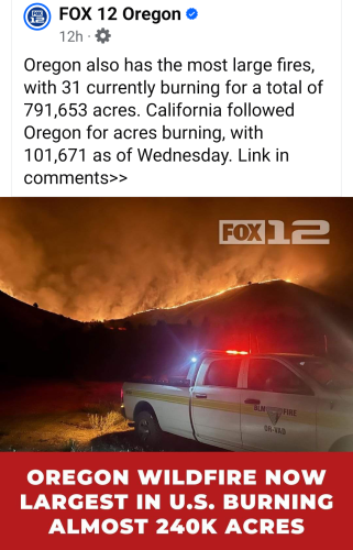 Screenshot_20240725-081653