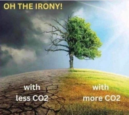 oh the irony
