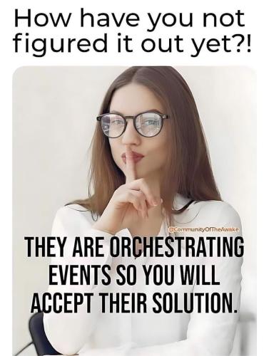 FB_IMG_1720118506319