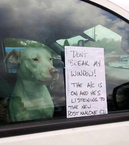 FB_IMG_1722402711987