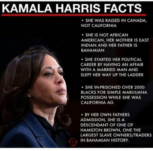 image_2024-07-07_091344912