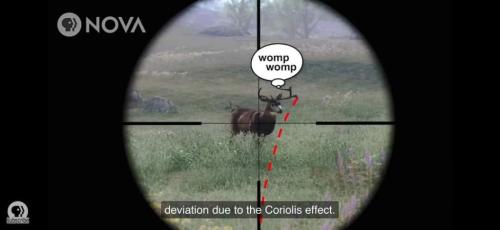 d436fe76-41ed-43de-a8fe-b189ef934650