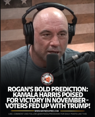 Screenshot 2024-07-31 100210