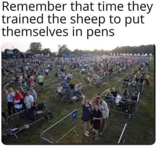 7f2927a3-94c1-4898-8cf5-2963f431cebc