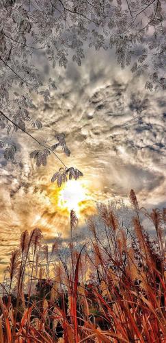 IMG_20240729_222134_441