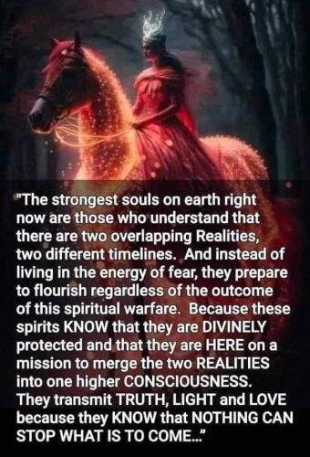 IMG_20240707_115732_607