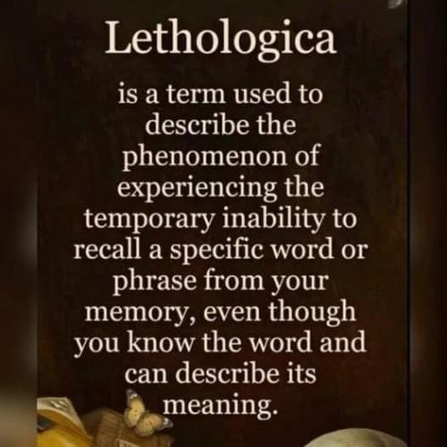 eb3c4e4b-37c6-42f1-a8a4-27ea10132d62