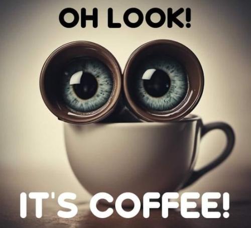 449717861_996263229166750_7720581513512783479_n