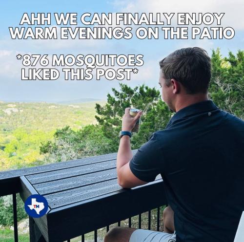 IMG_20240724_184914_600