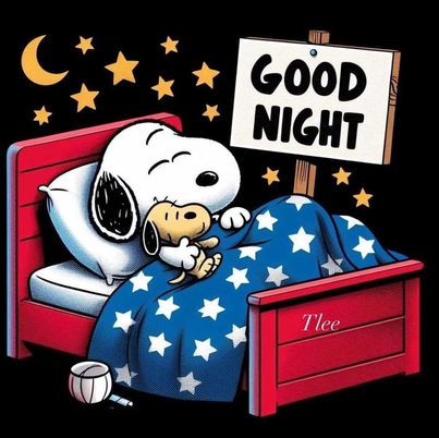 patriotic snoopy good night from Jim