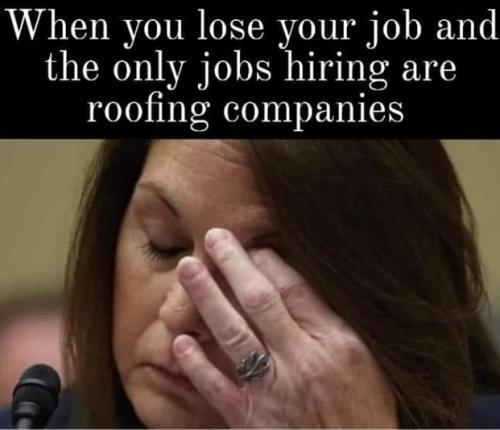 cheatles new career choice