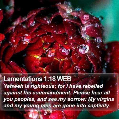 Lamentations 1_18