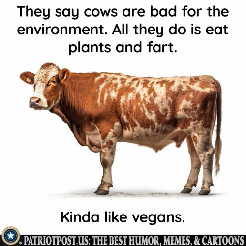 Vegans