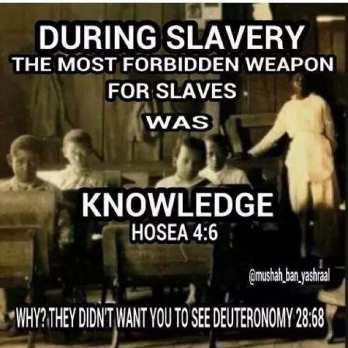 IMG_20240724_095439_570